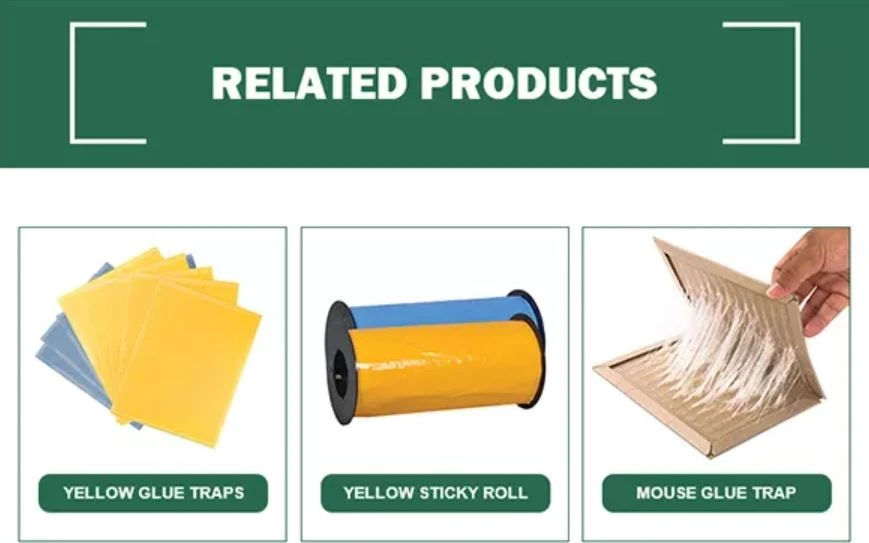 related product