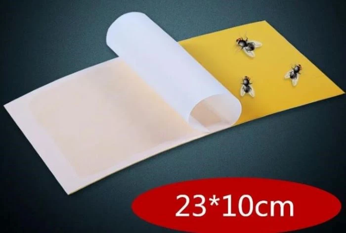 fly trap lamp paper size