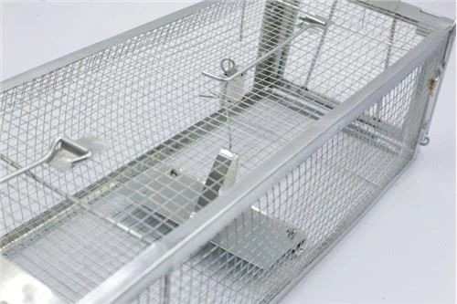 Fox Cage Trap