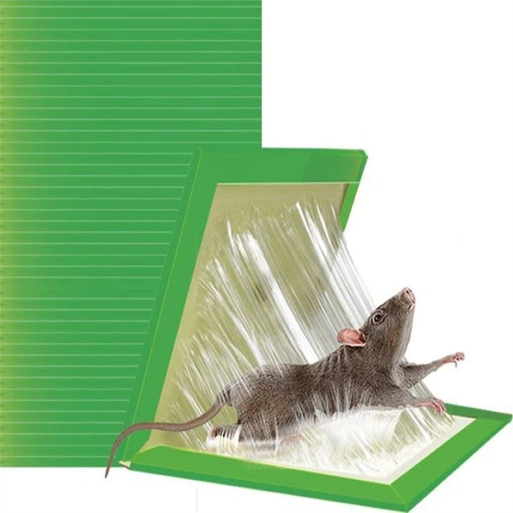 High Viscous Nas Trap